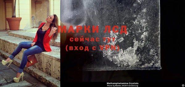ГАЛЛЮЦИНОГЕННЫЕ ГРИБЫ Белоозёрский