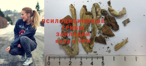 хмурый Балабаново